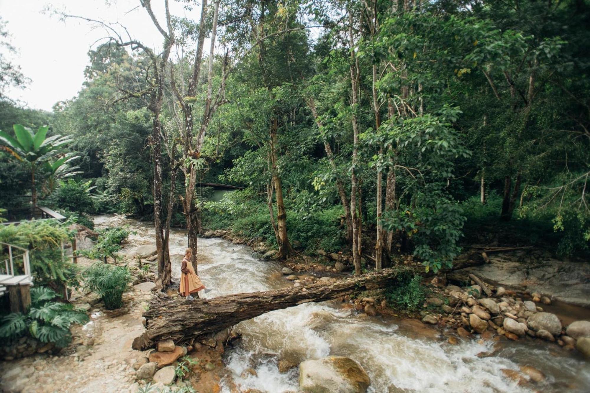 Taryn Tara Cafe And Stay Chiang Mai Bagian luar foto